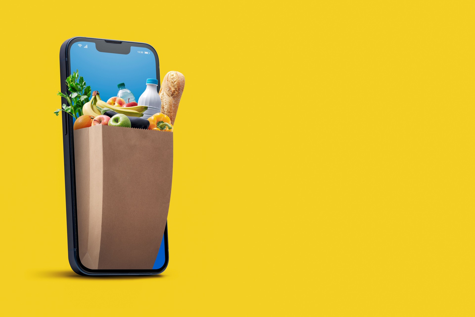 Online grocery shopping app on smartphone